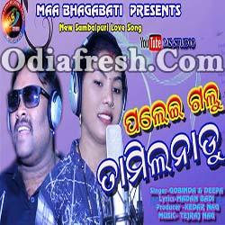 Palei Galu Tamilnadu - Sambalpuri Song By Gobinda, Deepa